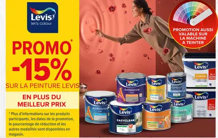 Offre: Peinture Levis