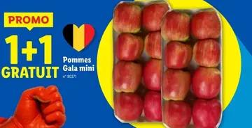 Offre: Pommes Gala mini