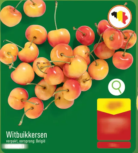 Promotie: Witbuikkersen