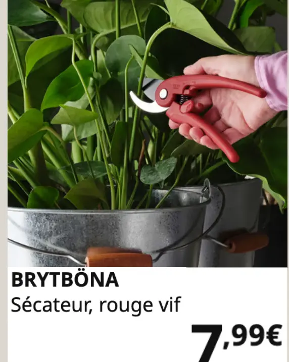 Offre: Brytböna