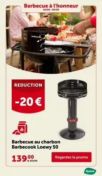 Offre: Barbecue au charbon Barbecook Loewy