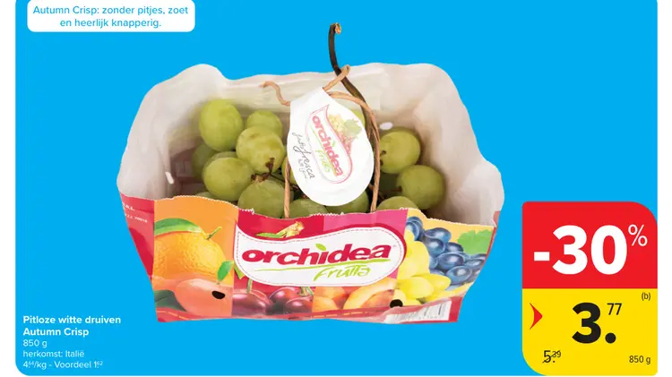Promotie: Orchidea Pitloze witte druiven Autumn Crisp