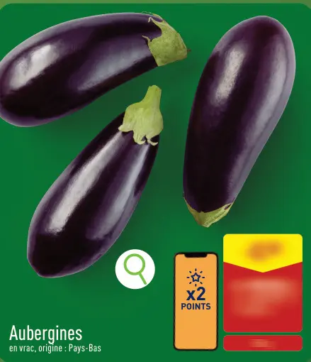 Offre: Aubergines