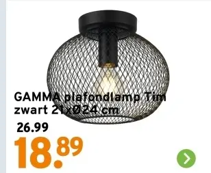 Aanbieding: Plafondlamp Tim