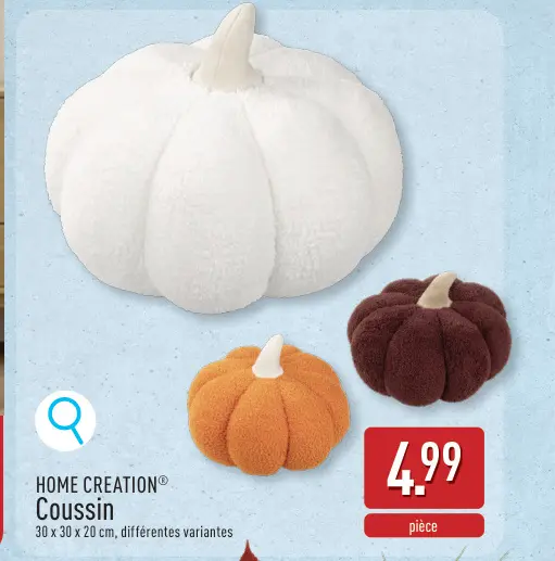 Offre: Coussin