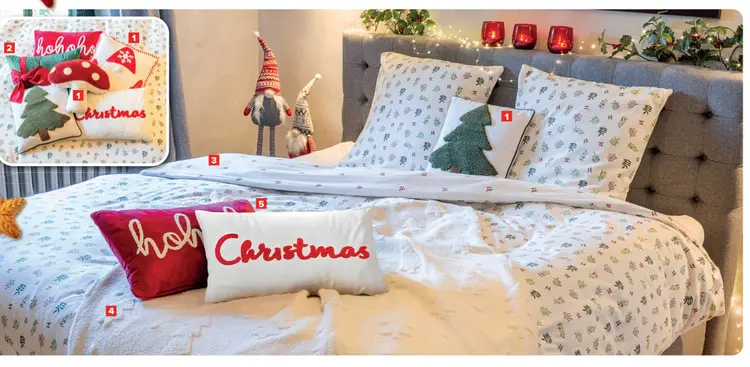 Promotie: Huislinnen