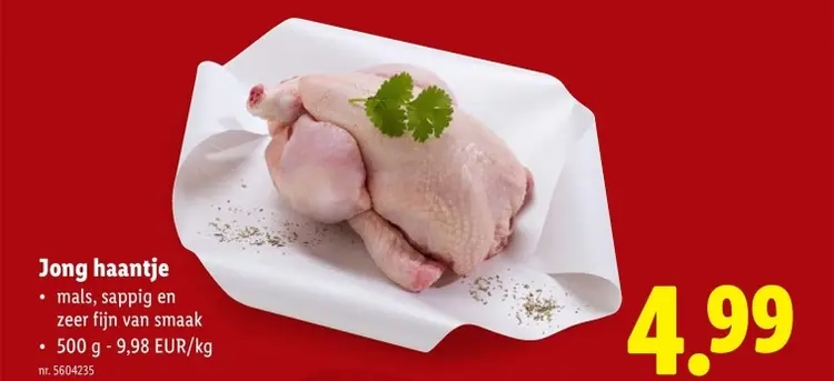 Aanbieding: Jong haantje