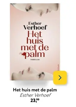 Aanbieding: Het huis met de palm