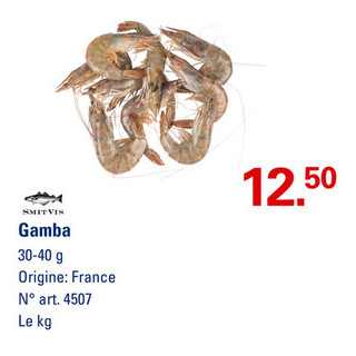 Offre: Gamba