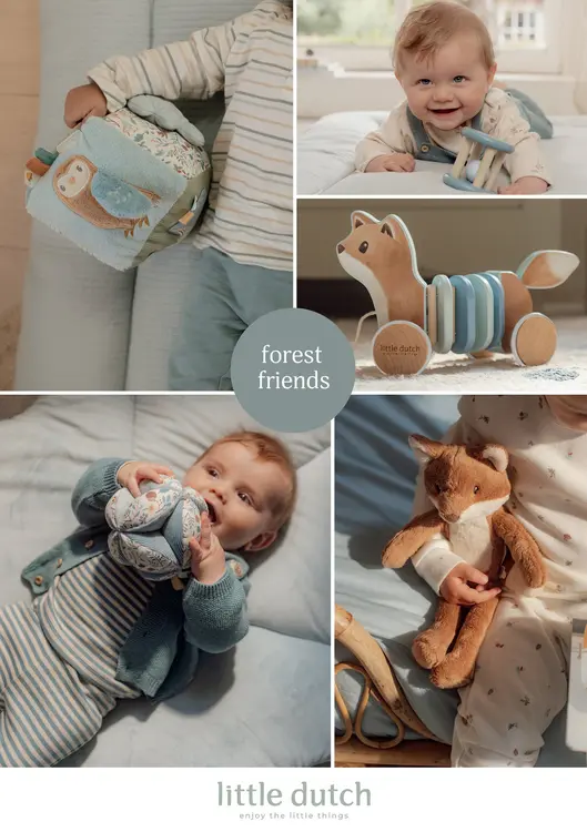 Aanbieding: Forest Friends