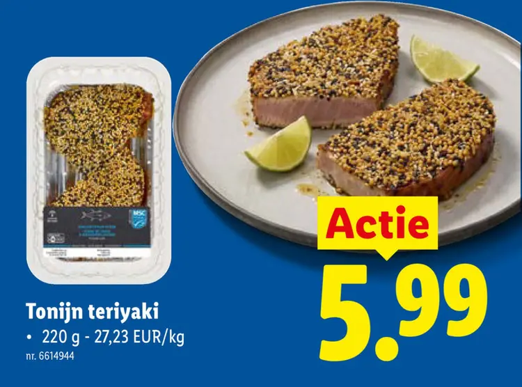 Promotie: Tonijn teriyaki