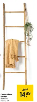 Aanbieding: Decoratieve ladder