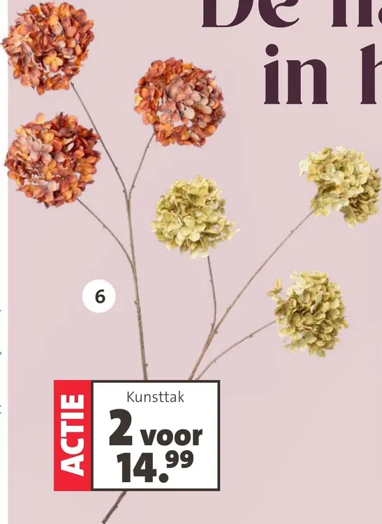 Promotie: Kunsttak hortensia