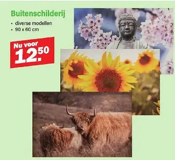 Aanbieding: Buitenschilderij