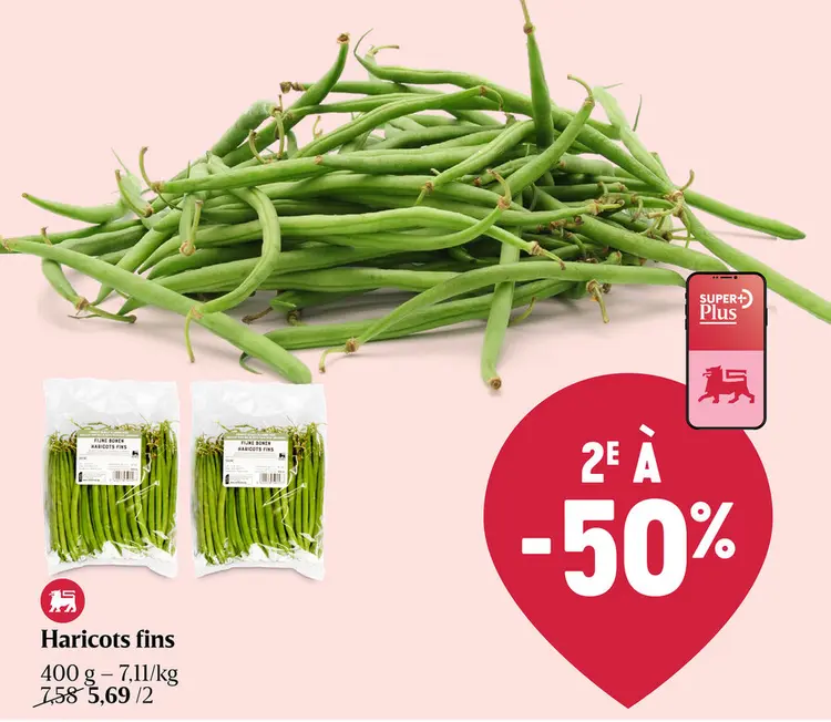 Offre: Haricots verts
