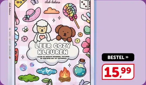 Promotie: Leer cozy kleuren