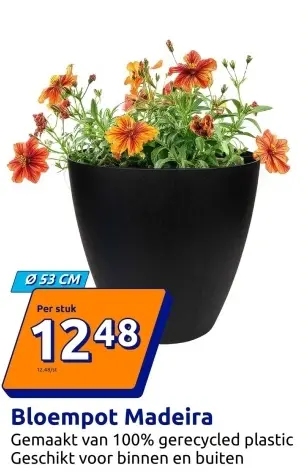 Promotie: Bloempot Madeira