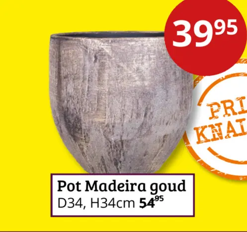 Aanbieding: Pot Madeira goud
