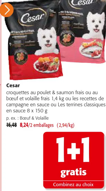 Offre: Cesar