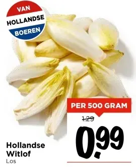 Aanbieding: Hollandse Witlof