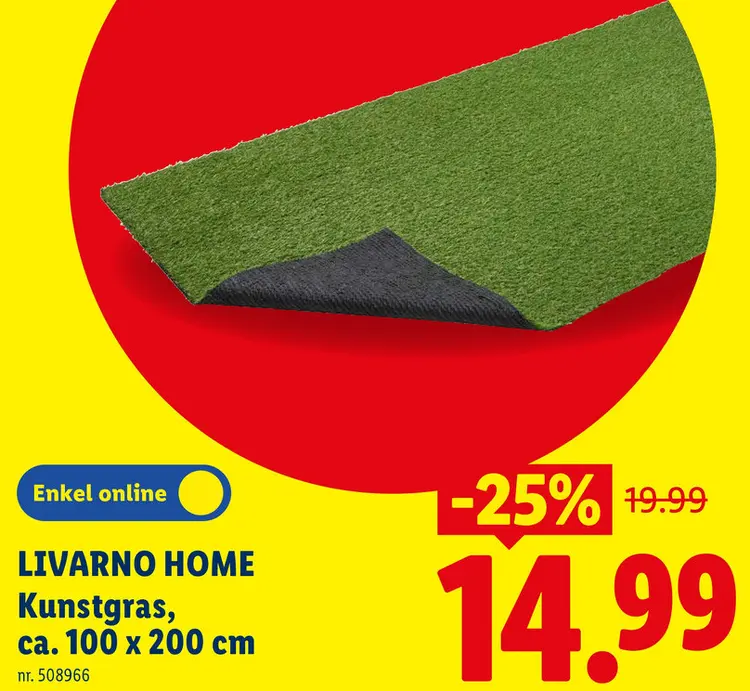 Promotie: Kunstgras