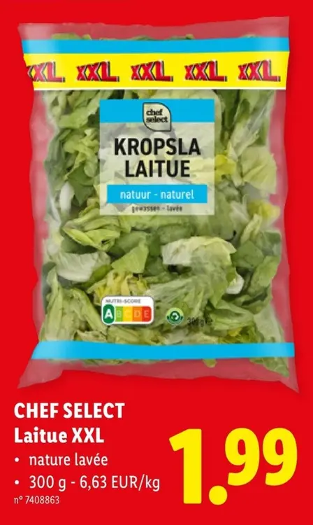 Offre: Laitue XXL