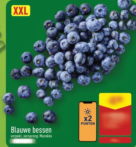 Promotie: Blauwe bessen