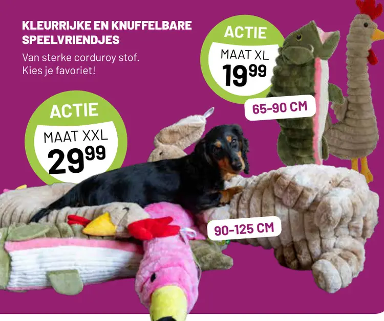 Aanbieding: Kleurrijke en knuffelbare speelvriendjes
