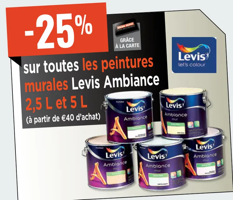 Offre: peintures murales Levis Ambiance