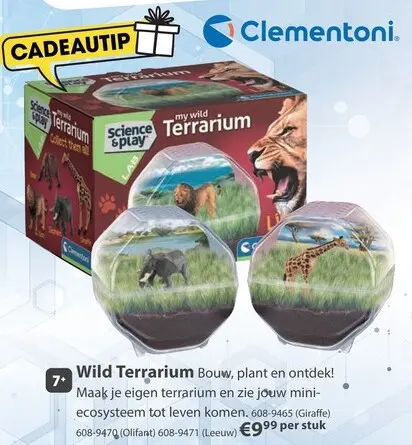 Aanbieding: Wild Terrarium