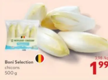 Offre: Chicons
