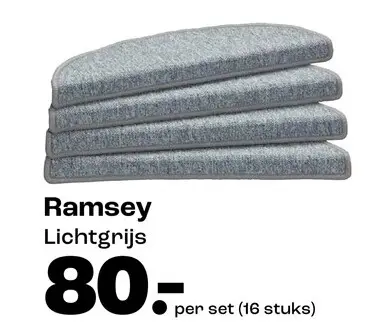 Promotie: Ramsey trapmat