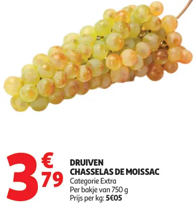 Promotie: Druiven Chasselas de Moissac