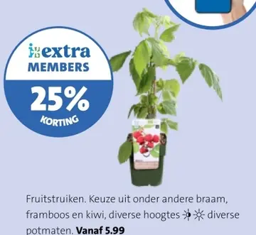 Aanbieding: Fruitstruiken