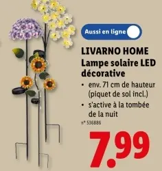 Offre: Lampe solaire LED décorative