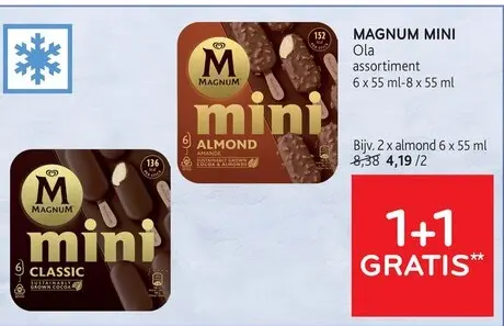 Promotie: Magnum mini