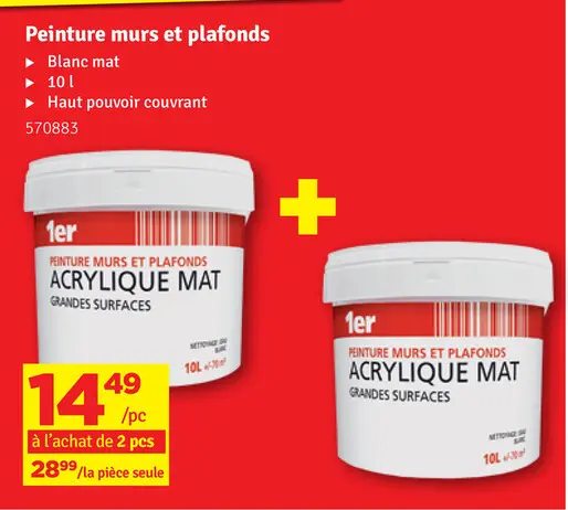 Offre: Peinture murs et plafonds