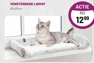 Aanbieding: VENSTERBANK LIGMAT
