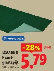 Aanbieding: Kunstgrastapijt
