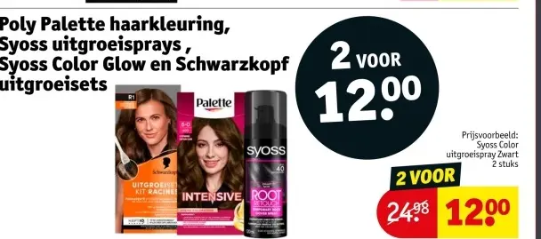 Aanbieding: Poly Palette haarkleuring, Syoss uitgroeispra
