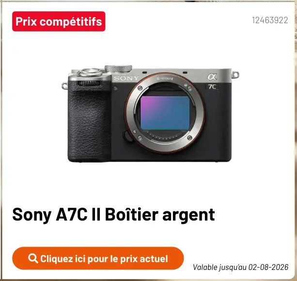 Offre: A7C II Boîtier argent