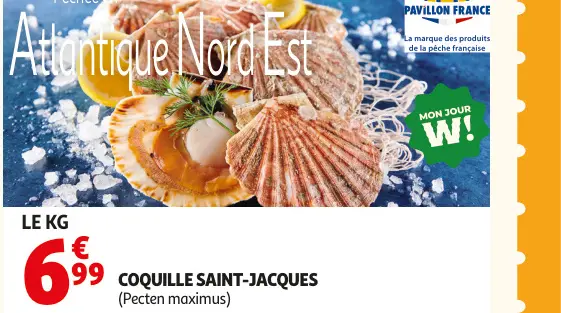 Offre: Coquille saint-jacques