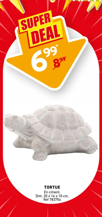 Offre: Tortue