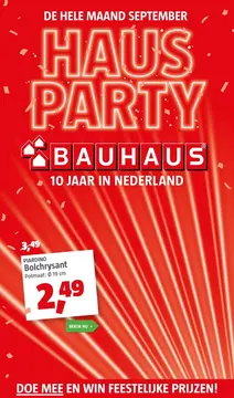 Aanbieding: Bolchrysant