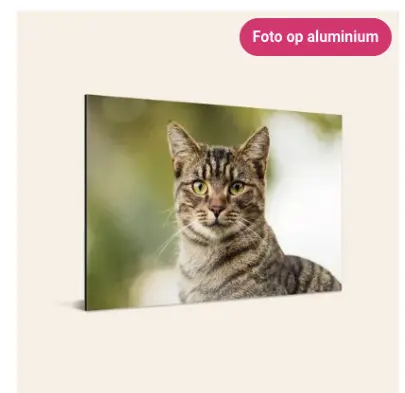 Aanbieding: Foto op aluminium