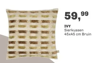 Aanbieding: Sierkussen