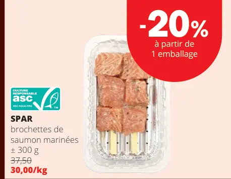 Offre: Brochettes de saumon marinées