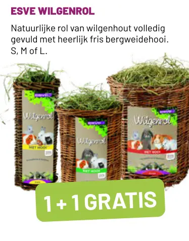 Aanbieding: Wilgenrol