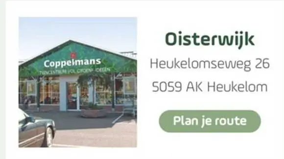 Aanbieding: Coppelmans
