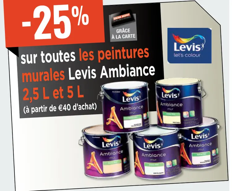 Aanbieding: peintures murales Ambiance